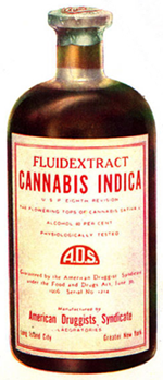 Cannabis extract (1906)(Photo courtesy of Wikimedia Commons)