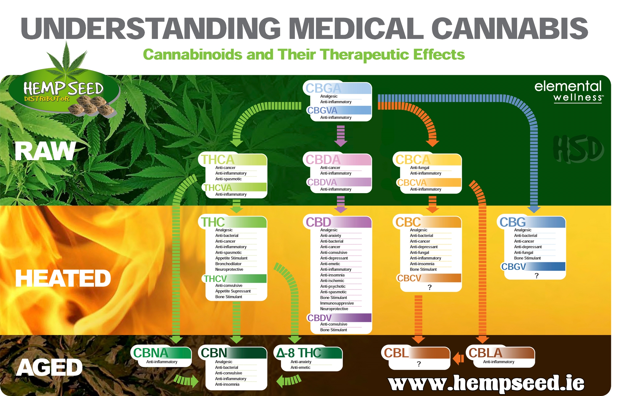 Understanding medical cannabis Components